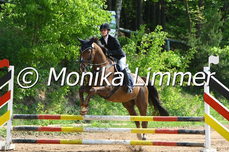 104M6159_Red Indian Summer_Stil_A.JPG